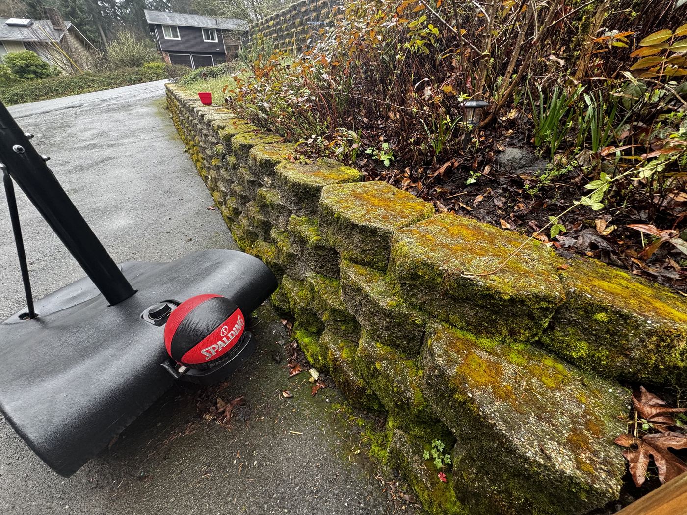 Moss-covered retaining wall before cleaning